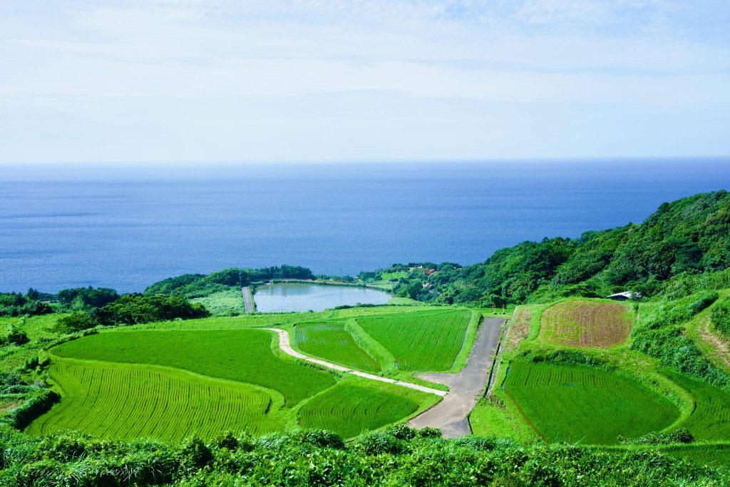 東後畑棚田