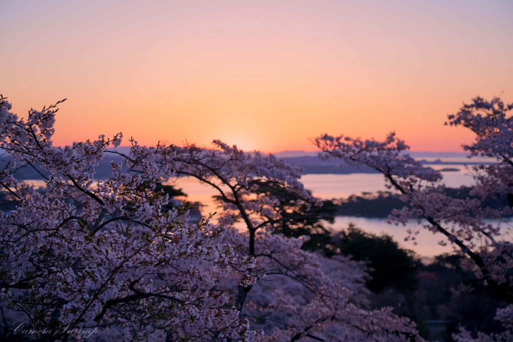 西行戻しの松公園(松島)