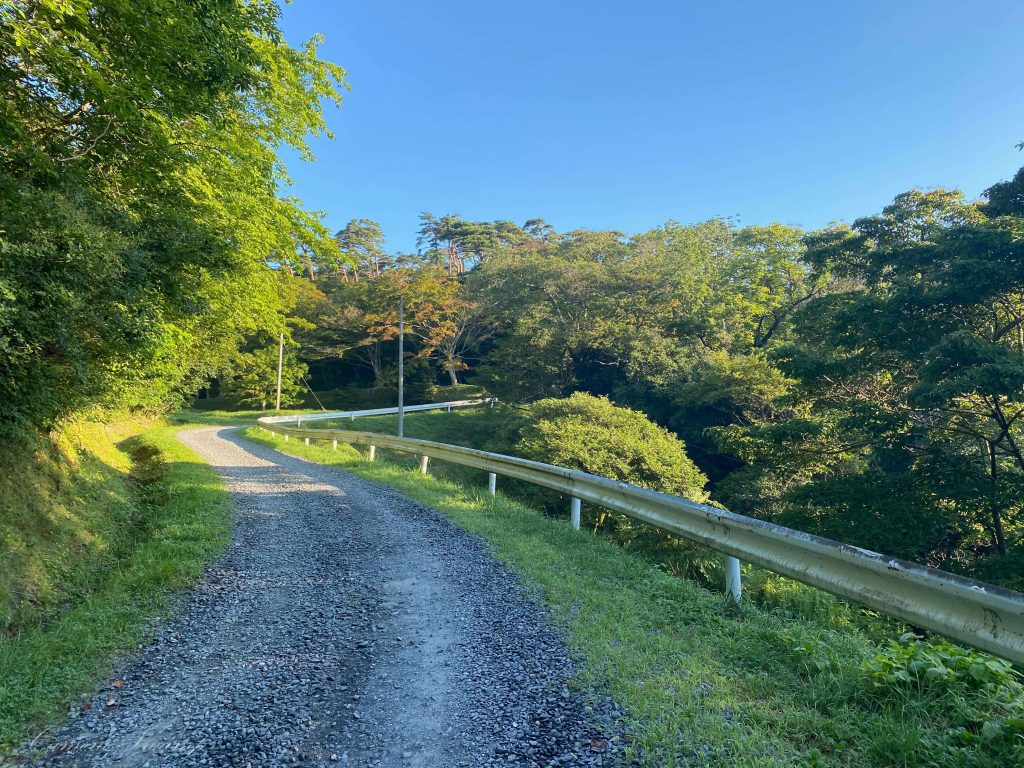 幽観／扇谷までのみち(松島)