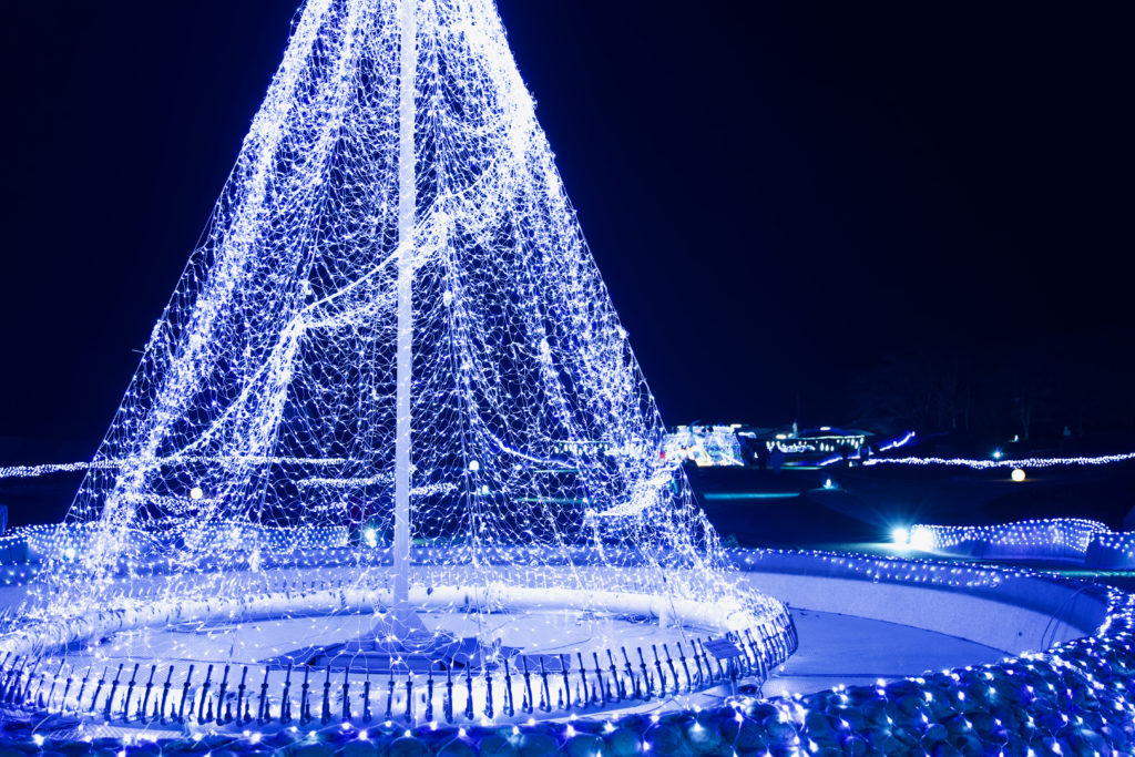 みちのく杜の湖畔公園 イルミネーション